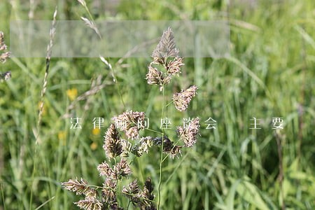 法律顾问座谈会 主要 法律顾问座谈会 主要